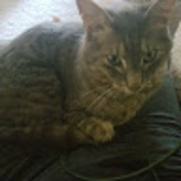 Meet your Posher, Christopher - Picture 1 of 1